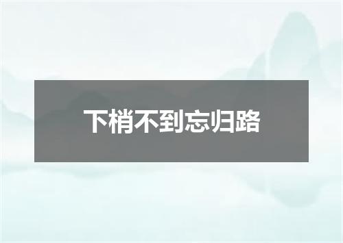 下梢不到忘归路