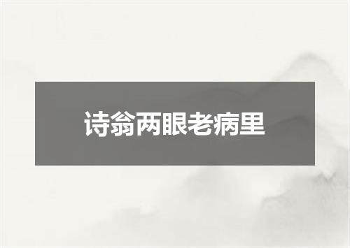 诗翁两眼老病里