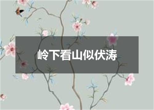 岭下看山似伏涛
