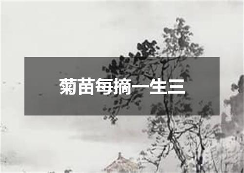 菊苗每摘一生三