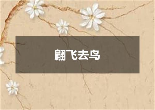 翩飞去鸟