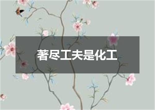 著尽工夫是化工