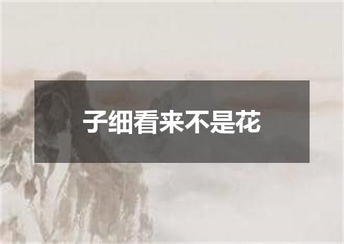 子细看来不是花