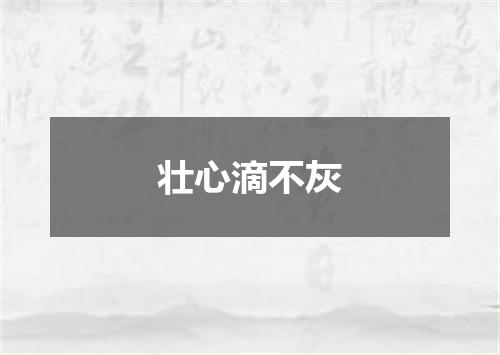 壮心滴不灰