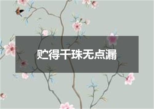 贮得千珠无点漏