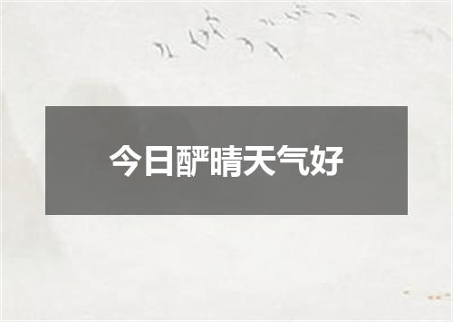 今日酽晴天气好