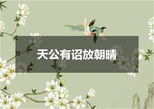 天公有诏放朝晴