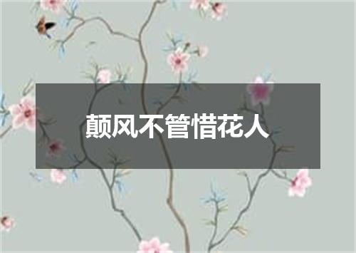颠风不管惜花人