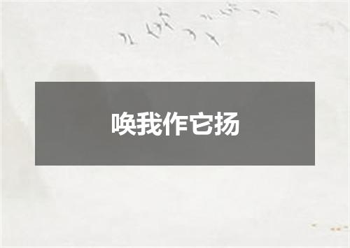 唤我作它扬