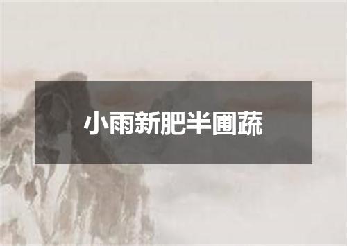 小雨新肥半圃蔬