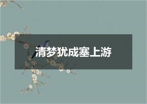 清梦犹成塞上游