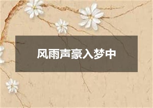 风雨声豪入梦中