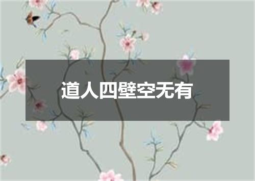 道人四壁空无有
