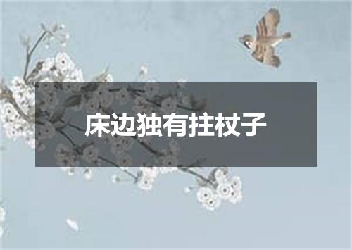床边独有拄杖子