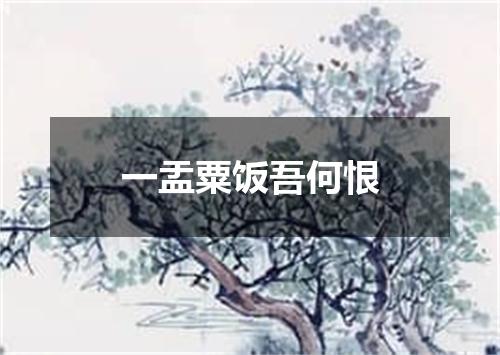 一盂粟饭吾何恨
