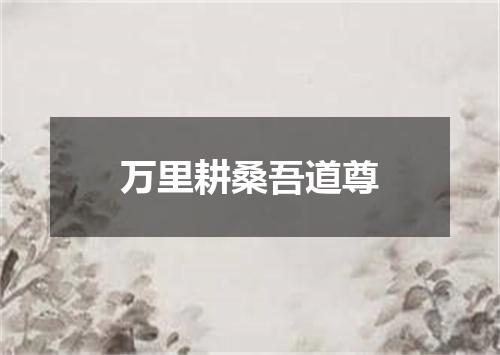 万里耕桑吾道尊