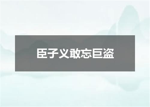 臣子义敢忘巨盗