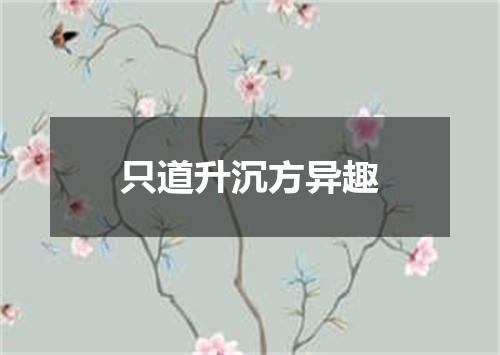 只道升沉方异趣