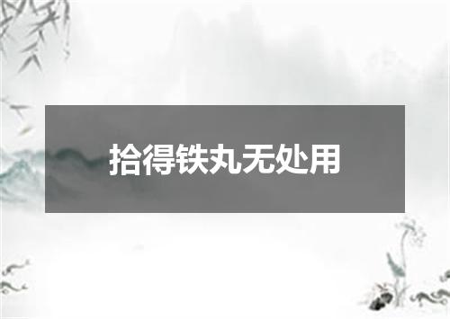 拾得铁丸无处用