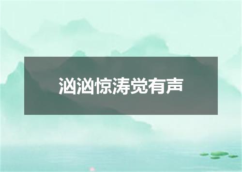 汹汹惊涛觉有声