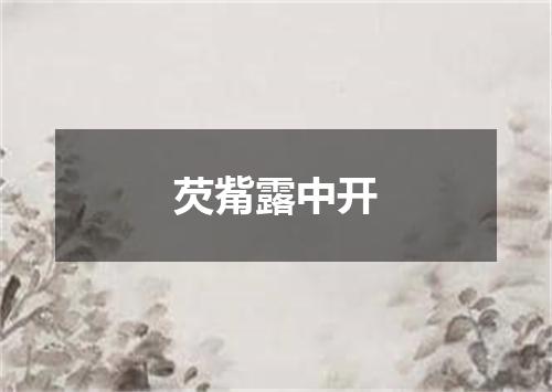 芡觜露中开