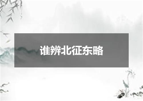 谁辨北征东略