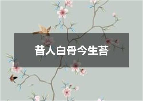 昔人白骨今生苔
