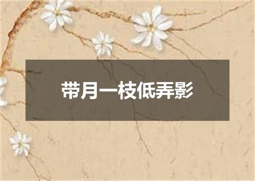 带月一枝低弄影