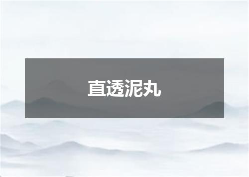直透泥丸