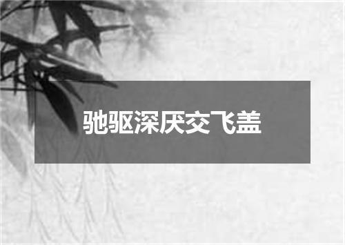 驰驱深厌交飞盖
