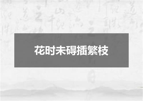 花时未碍插繁枝