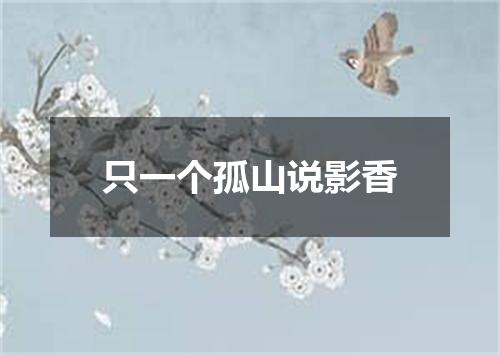 只一个孤山说影香