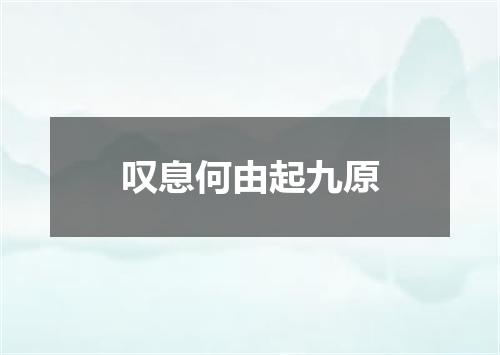 叹息何由起九原