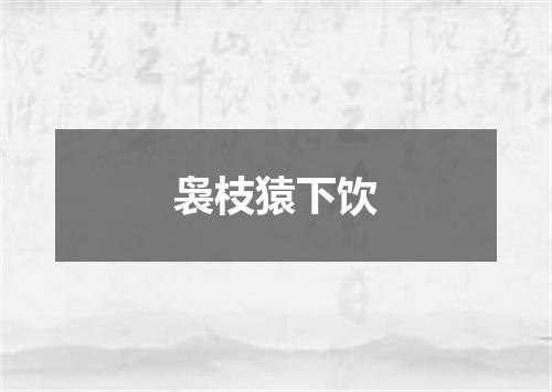 袅枝猿下饮