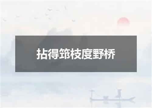 拈得筇枝度野桥