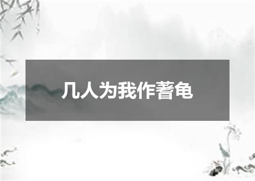几人为我作蓍龟