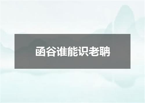 函谷谁能识老聃