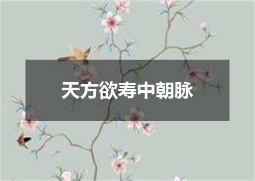 天方欲寿中朝脉
