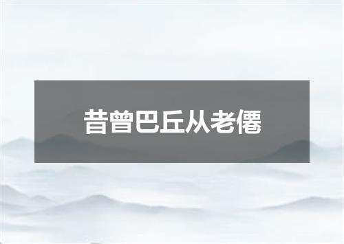 昔曾巴丘从老僊
