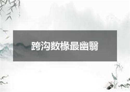 跨沟数椽最幽翳