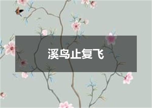 溪鸟止复飞