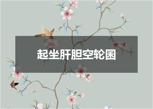 起坐肝胆空轮囷