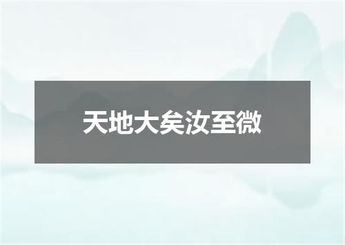 天地大矣汝至微