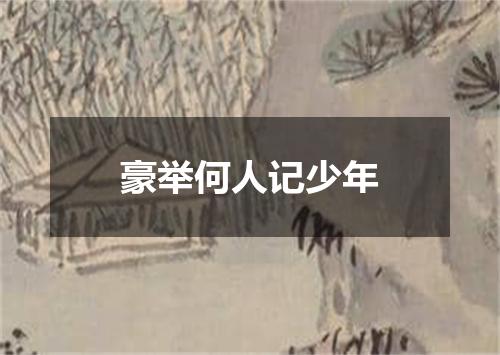 豪举何人记少年