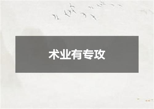 术业有专攻