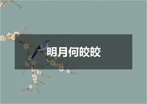 明月何皎皎