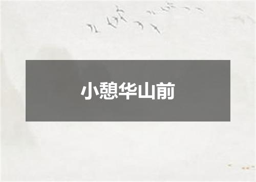 小憩华山前