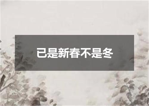 已是新春不是冬