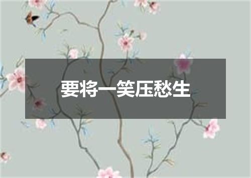 要将一笑压愁生