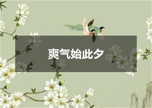爽气始此夕